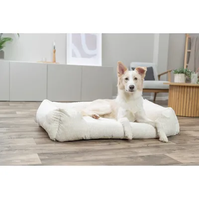 TRIXIE Orthopädisches Cord-Bett für Hunde und Katzen, Memory-Foam TRIXIE Orthopädisches Cord-Bett für Hunde und Katzen, Memory-Foam