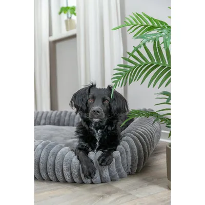 TRIXIE Eckiges Hundebett Lonni aus Plüsch mit Rand in Breitcord-Optik TRIXIE Eckiges Hundebett Lonni aus Plüsch mit Rand in Breitcord-Optik
