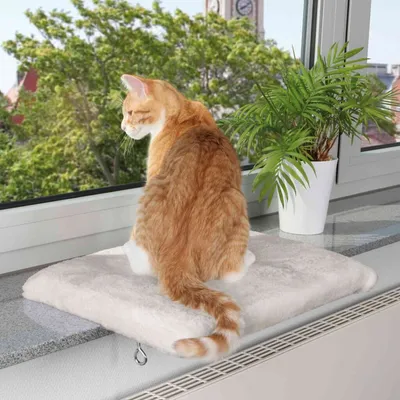 TRIXIE Liegeplatte für Fensterbänke TRIXIE Liegeplatte für Fensterbänke