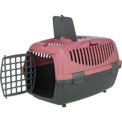 TRIXIE Capri Transportbox für kleine Hunden und Katzen aus Kunststoff