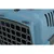 TRIXIE Capri Transportbox für kleine Hunden und Katzen aus Kunststoff