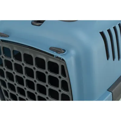 TRIXIE Capri Transportbox für kleine Hunden und Katzen aus Kunststoff