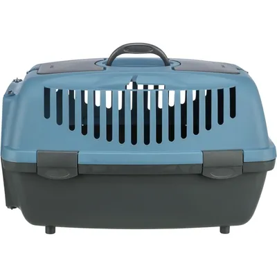 TRIXIE Capri Transportbox für kleine Hunden und Katzen aus Kunststoff