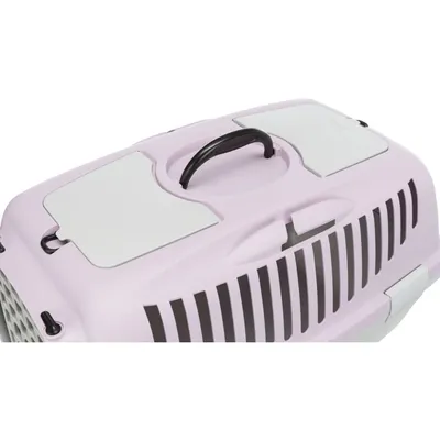 TRIXIE Capri Transportbox für kleine Hunden und Katzen aus Kunststoff