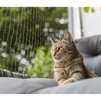 TRIXIE Katzenschutznetz, drahtverstärkt TRIXIE Katzenschutznetz, drahtverstärkt