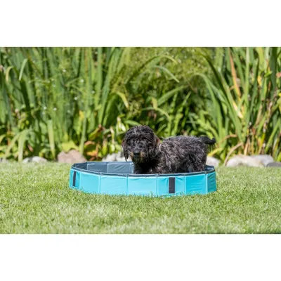 TRIXIE Hundepool TRIXIE Hundepool