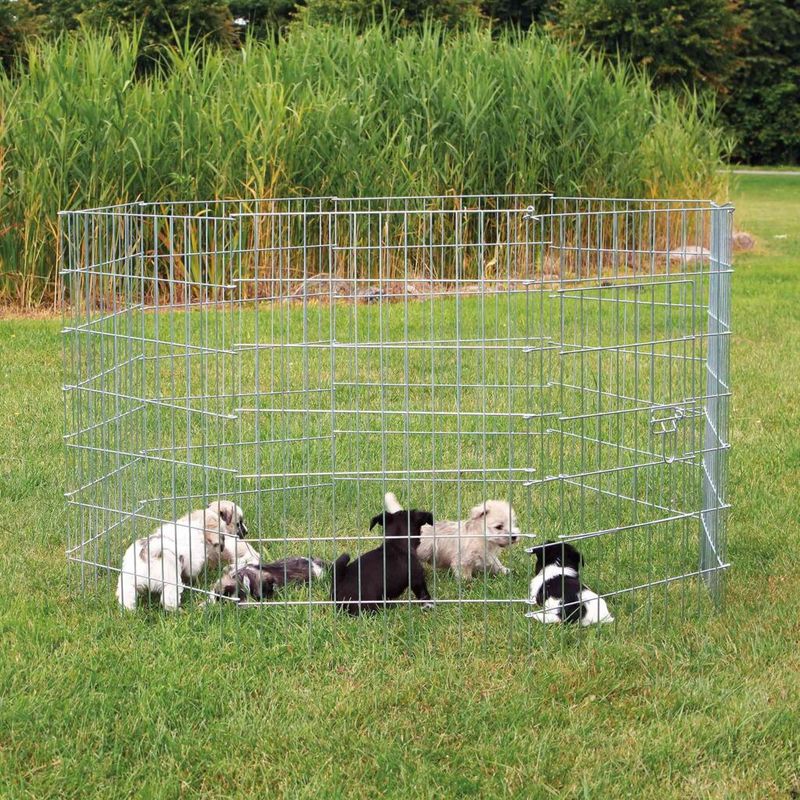 TRIXIE Freilauf für kleine Hunde - diverse