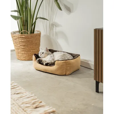 lionto Katzenbett mit Wendekissen, niedrigem Einstieg & rutschfestem Boden lionto Katzenbett mit Wendekissen, niedrigem Einstieg & rutschfestem Boden