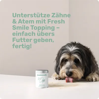 mammaly - Fresh Smile® Futtertopping - Zahnpflege-Pulver für Hunde mammaly - Fresh Smile® Futtertopping - Zahnpflege-Pulver für Hunde