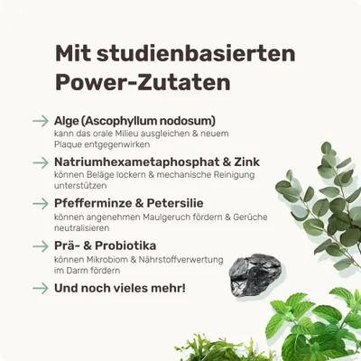 mammaly - Fresh Smile® Futtertopping - Zahnpflege-Pulver für Hunde