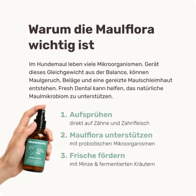 mammaly - Fresh Dental® - Zahnpflege-Spray für Hunde mammaly - Fresh Dental® - Zahnpflege-Spray für Hunde