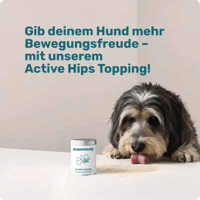 mammaly - Active Hips® Futtertopping - Gelenk-Pulver für Hunde