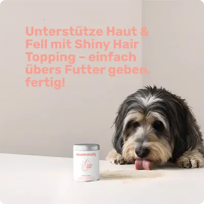 mammaly - Shiny Hair® Futtertopping - Haut- und Fell-Pulver für Hunde