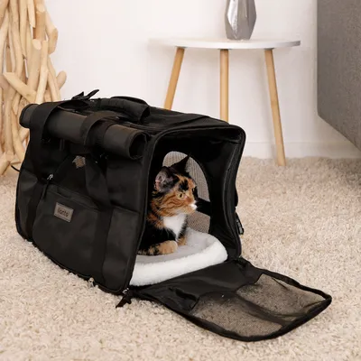 lionto Katzentransporttasche faltbar mit Mesh und Schultergurt lionto Katzentransporttasche faltbar mit Mesh und Schultergurt