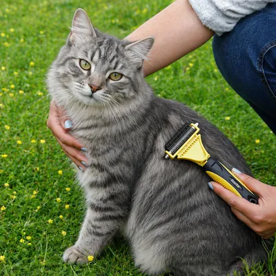 lionto brosse démêlante pour chat avec 12 + 23 lames inox lionto brosse démêlante pour chat avec 12 + 23 lames inox