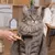 lionto peigne anti-puces pour chat avec dents fines en inox lionto peigne anti-puces pour chat avec dents fines en inox