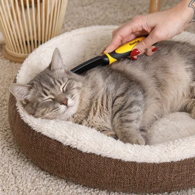 lionto peigne anti-puces pour chat avec dents fines en inox lionto peigne anti-puces pour chat avec dents fines en inox
