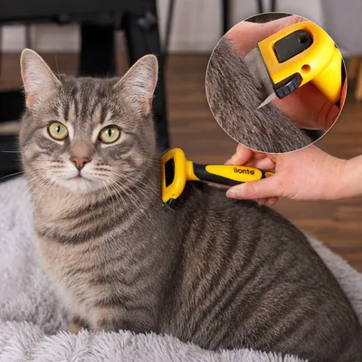 lionto brosse sous-poil pour chat avec lame inox de 6,6 cm lionto brosse sous-poil pour chat avec lame inox de 6,6 cm