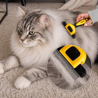 lionto brosse sous-poil pour chat avec lame inox de 10 cm