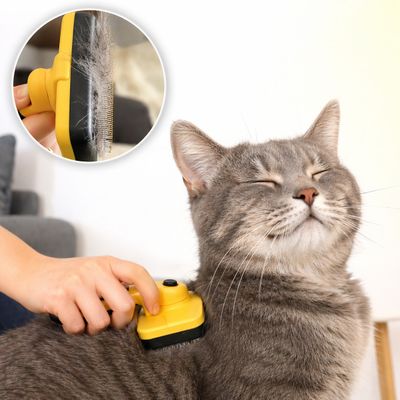 lionto Katzenbürste selbstreinigend mit Edelstahlborsten