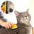 lionto brosse pour chat autonettoyante avec picots en inox lionto brosse pour chat autonettoyante avec picots en inox