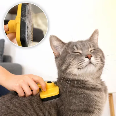 lionto brosse pour chat autonettoyante avec picots en inox lionto brosse pour chat autonettoyante avec picots en inox