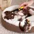 lionto peigne anti-puces chien et chat avec dents en inox