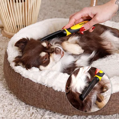 lionto peigne anti-puces chien et chat avec dents en inox