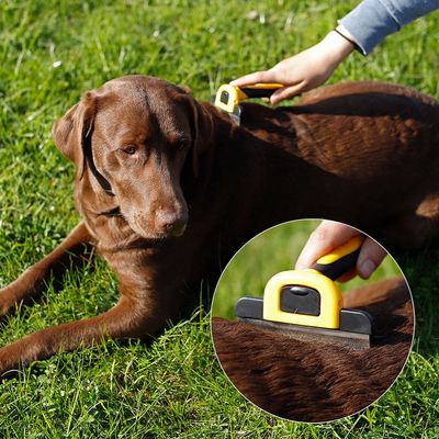 lionto Unterwollbürste für Hunde mit 10 cm Edelstahlklinge
