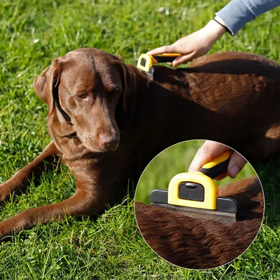 lionto Unterwollbürste für Hunde mit 10 cm Edelstahlklinge