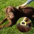 lionto brosse sous-poil pour chien avec lame inox de 10 cm lionto brosse sous-poil pour chien avec lame inox de 10 cm