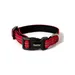 lionto Katzenhalsband reflektierend aus Nylon mit Neoprenpolsterung