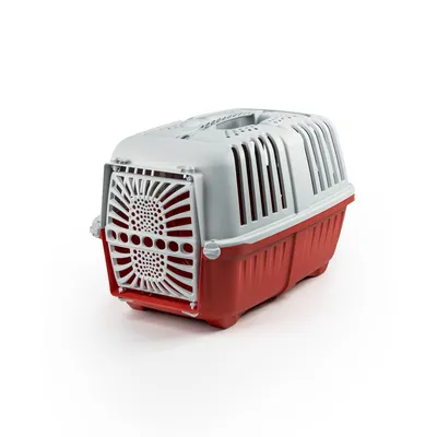lionto Katzentransportbox aus Kunststoff mit Tragegriff lionto Katzentransportbox aus Kunststoff mit Tragegriff