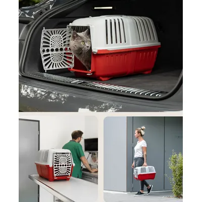 lionto Katzentransportbox aus Kunststoff mit Tragegriff