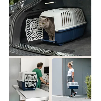 lionto Katzentransportbox aus Kunststoff mit Tragegriff