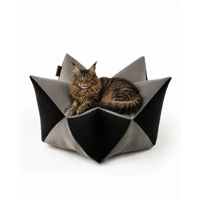 lionto coussin étoile pour chat avec rembourrage doux PP-Cotton lionto coussin étoile pour chat avec rembourrage doux PP-Cotton