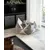 lionto coussin étoile pour chat avec rembourrage doux PP-Cotton lionto coussin étoile pour chat avec rembourrage doux PP-Cotton