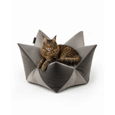 lionto coussin étoile pour chat avec rembourrage doux PP-Cotton lionto coussin étoile pour chat avec rembourrage doux PP-Cotton