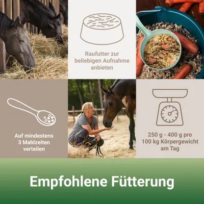 PANTO Kräutermüsli mit Wisan®-Lein – 15 kg Pferdefutter mit Omega-3 & Kräut PANTO Kräutermüsli mit Wisan®-Lein – 15 kg Pferdefutter mit Omega-3 & Kräut