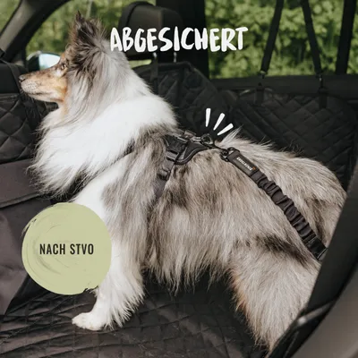 Rudelkönig Ceinture de sécurité pour chiens voiture Rudelkönig Ceinture de sécurité pour chiens voiture