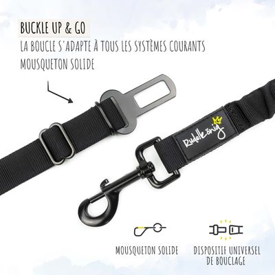 Rudelkönig Ceinture de sécurité pour chiens voiture