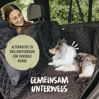 Rudelkönig Ceinture de sécurité pour chiens voiture Rudelkönig Ceinture de sécurité pour chiens voiture