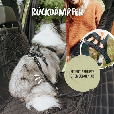 Rudelkönig Sicherheitsgurt Hundegurt fürs Auto mit Rückdämpfer