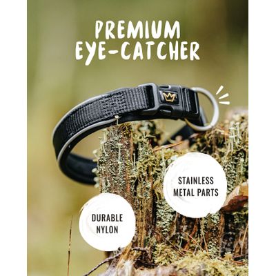 Rudelkönig Collier pour chien Paola réfléchissant réglable