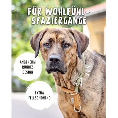 Rudelkönig Collier chien Emma anti-traction réglable Rudelkönig Collier chien Emma anti-traction réglable