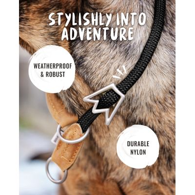 Rudelkönig Collier chien Emma anti-traction réglable