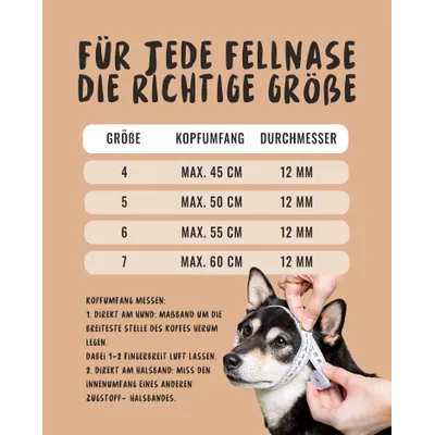 Rudelkönig Collier chien Emma anti-traction réglable Rudelkönig Collier chien Emma anti-traction réglable