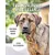 Rudelkönig Collier chien Emma anti-traction réglable Rudelkönig Collier chien Emma anti-traction réglable