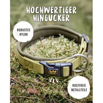 Rudelkönig Hundehalsband Bella & Paola gepolstert & robust