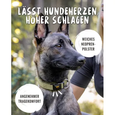 Rudelkönig Hundehalsband Bella & Paola gepolstert & robust